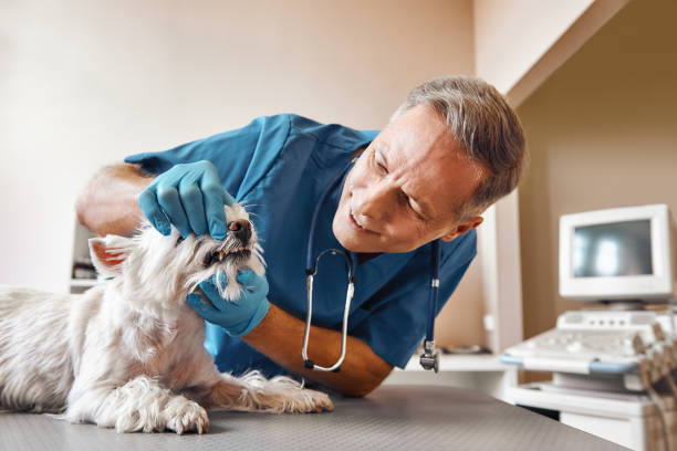Best Same-Day Emergency Dentist in West Sharyland, TX